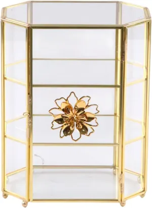 Box Organizer Display Stand for Bracelets Necklaces Cufflinks symbiotic durable pump Keepsake Trinket Glass Jewelry 