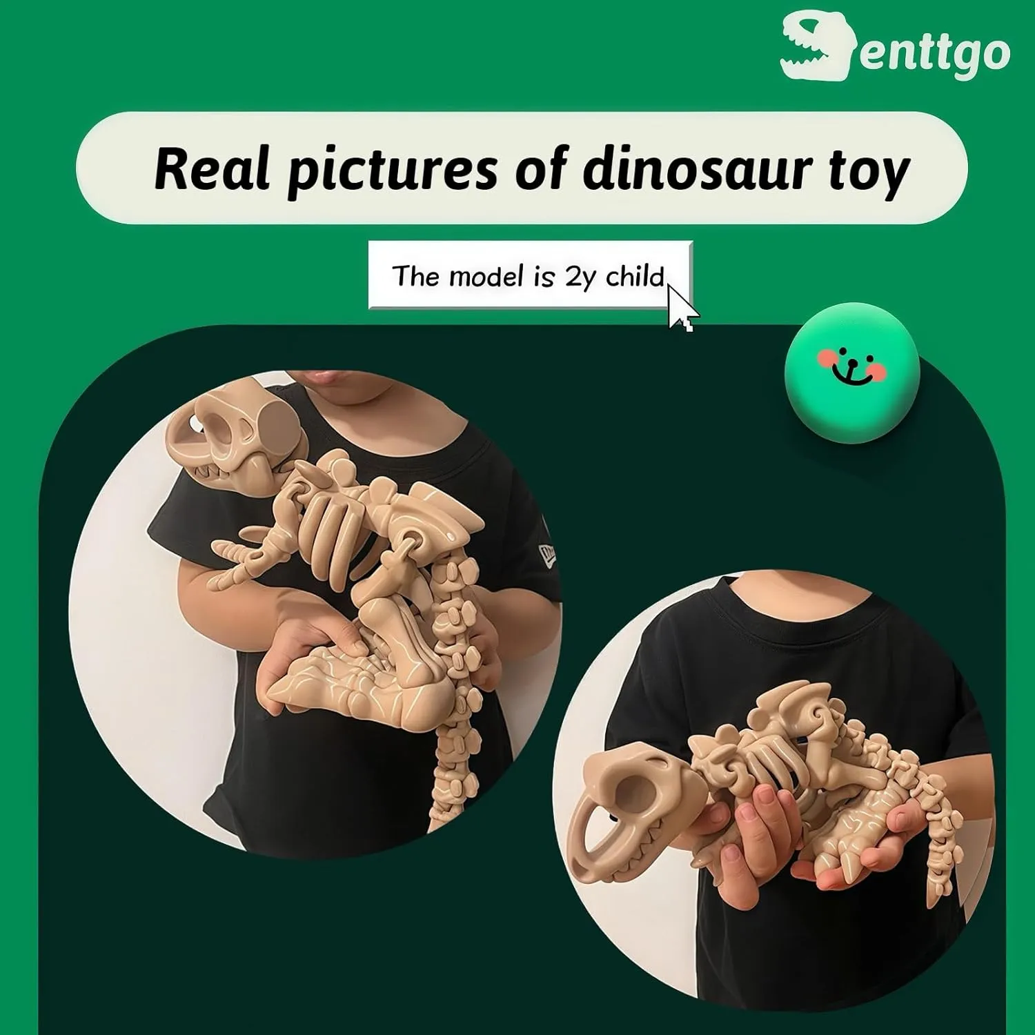 Dinosaur Model, Cute and Fun Calvinist hurricane Dinosaur Skeleton Design Decoration - Premium Quality 3D Printed Toy. (Black) 3D Printed 
