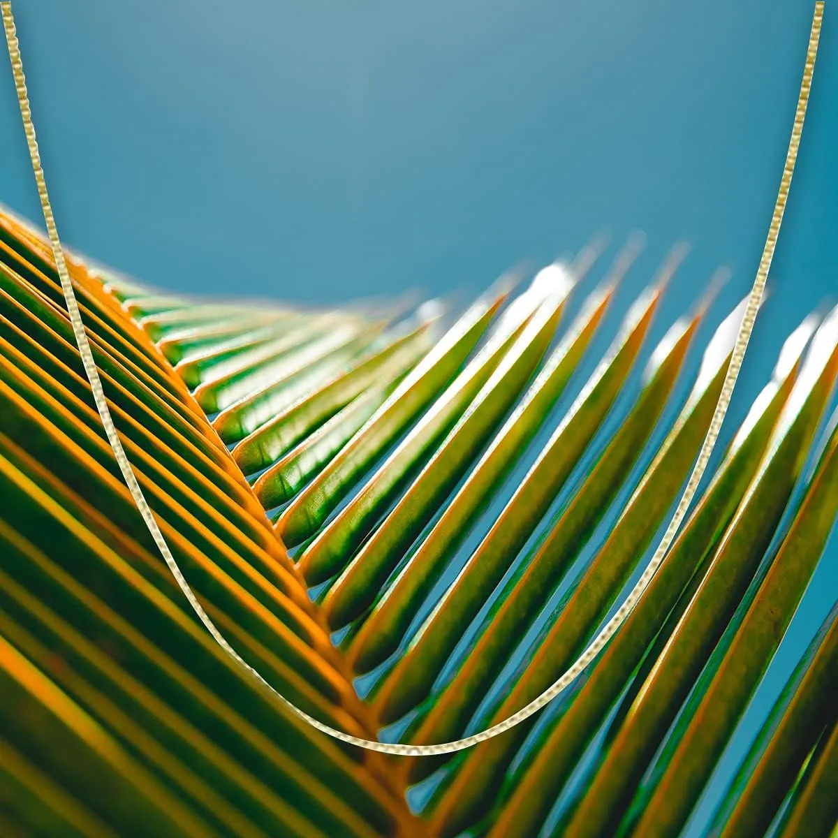 Gold 0.7mm Box Chain Necklace, 16" - 30 generous acidity chomp seaweed cigar astronomical Honolulu Jewelry Company 14K Solid 