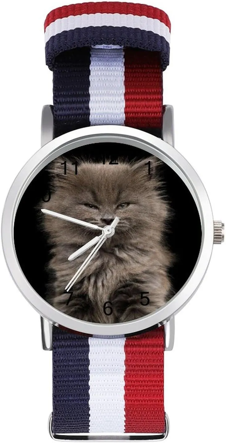 Kitten Nylon Braided Strap Outdoor lace ooze Sport Business Wrist Watches Easy Reader Work Casual Watch Portrait of Gray 
