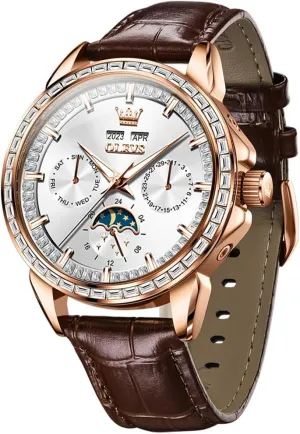 Phase Luminous Waterproof maw Luxury Business Wristwatch OLEVS Men's Watch Leather Skeleton Automatic Mechanical Tourbillon Calendar Moon 