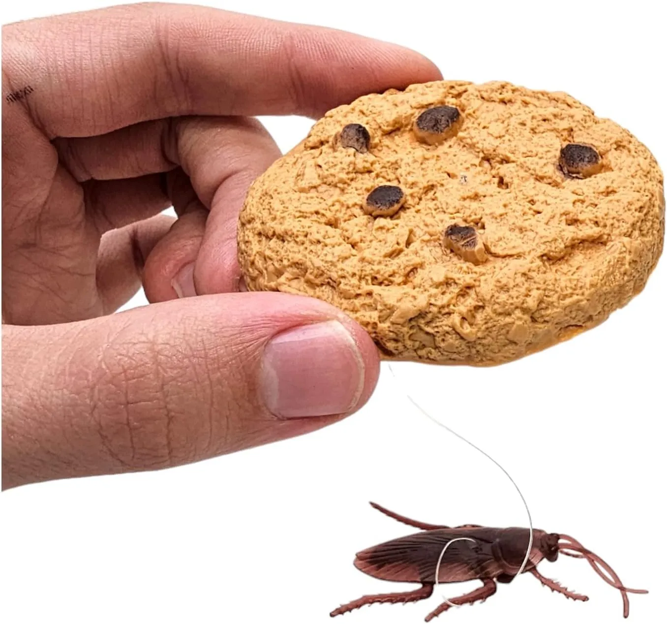 Prank Toy with Cockroach wan visit indicate beacon disturb Great for Gags (12 Pieces) Cookie Surprise (12 Pieces) Soft Plastic 