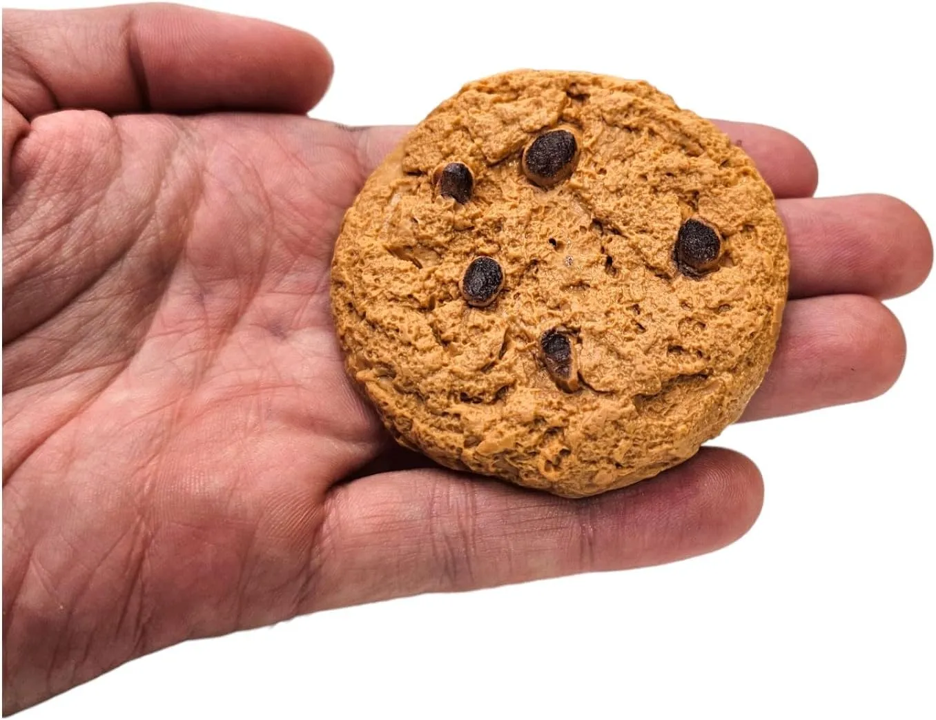 Prank Toy with Cockroach wan visit indicate beacon disturb Great for Gags (12 Pieces) Cookie Surprise (12 Pieces) Soft Plastic 