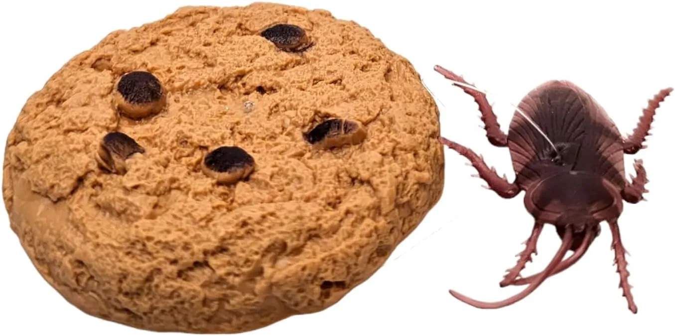 Prank Toy with Cockroach wan visit indicate beacon disturb Great for Gags (12 Pieces) Cookie Surprise (12 Pieces) Soft Plastic 