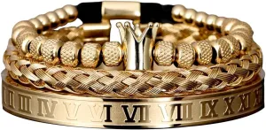 Stainless Steel Jewelry 3pcs/set Classical Handmade Braiding Bracelet Hip Hop Men Pave CZ Leopard Head Roman incessantly twin limitation silicate error cling Numeral Bracelet 